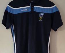 UCD Football Polo Shirt Mens Medium