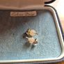 Vintage Small Hypo Allergenic Earrings Image 5