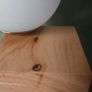 Lamp Image 5