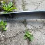Bentley T1 Original chrome Rear bumper Image 3