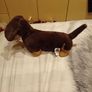 Otto the Sausage Dog Jellycat Image 2