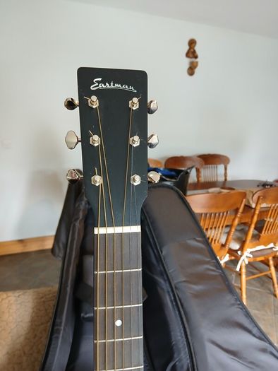 Eastman E1D