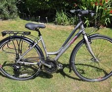 Raleigh Pioneer 1 Ladies Bike