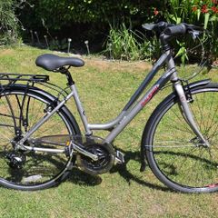 Raleigh Pioneer 1 Ladies Bike