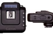 Cactus V6 ii