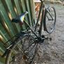 bike Image 2