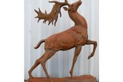 Rusty Stag D8887