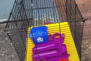 hamster cage