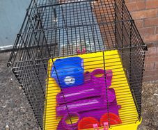 hamster cage