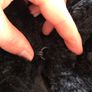 Monsoon Fur Shrug Size M (UK12) Image 4