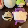Collection of seven Squishmallows plush toys Image 2