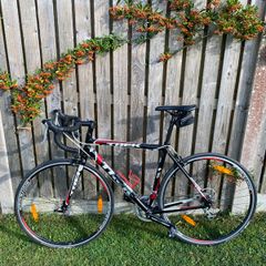 Trek Alpha 1.1