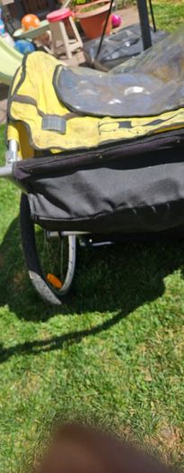 bicycle buggy