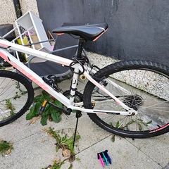 Apollo Phaze Mens Mountain Bike. Great Working Order