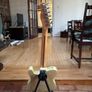 20th Anniversary Fender Squire Telecaster Electric Guitar Image 2