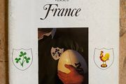 Very Rare 1989 Ireland v France - Five Nations Programme