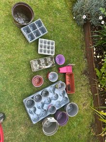 Plant Pots & Trays
