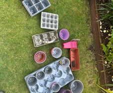 Plant Pots & Trays