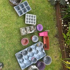 Plant Pots & Trays
