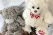 Two Soft Teddy's