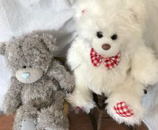 Two Soft Teddy's