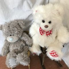 Two Soft Teddy's