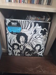 Thin Lizzy - Acoustic Sessions (LP, Album, Ltd, Marble Vinyl)