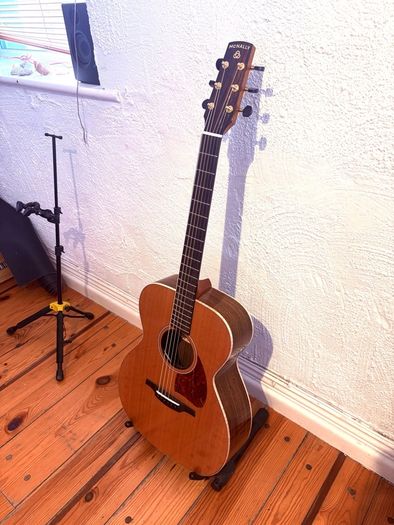 mcnally guitar