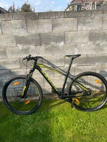 Adult Bike