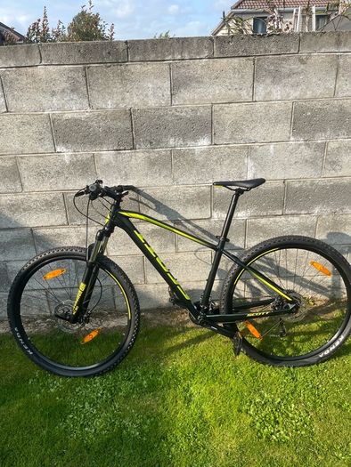 Adult Bike