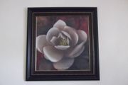 2 Large framed Pictures