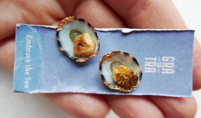 Handmade Seashell Stud Earrings
