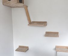cat climbing set + toys - mint condition