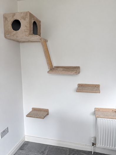 cat climbing set + toys - mint condition