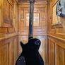 PRS M. Tremonti SE 2009 Image 2