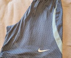 Mens nike dri fit shorts