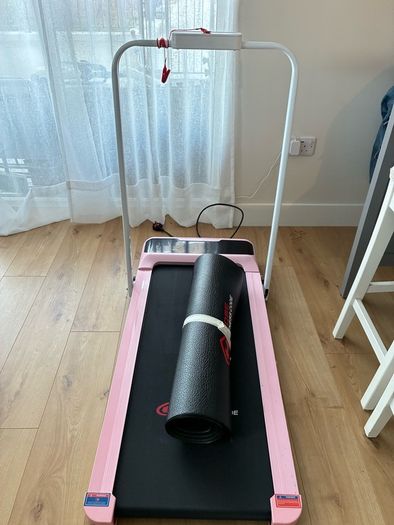 Treadmill walker