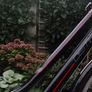 Dema Ladies Bike Image 4