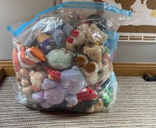 teddies
