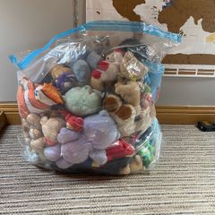 teddies
