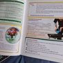 Leaving Cert Irish Image 4