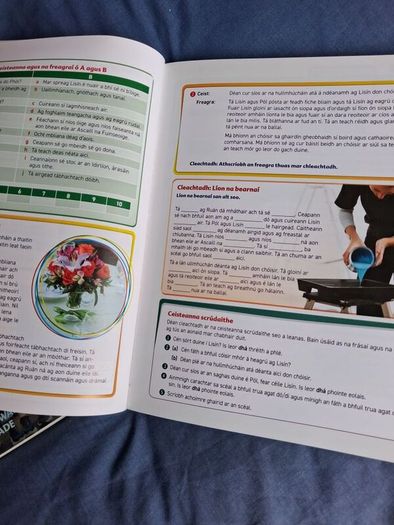 Leaving Cert Irish