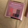 bellamianta palette Image 4