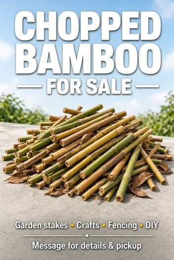 Chopped Bamboo