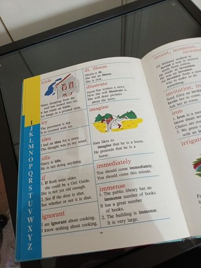 Childrens Giant Dictionary