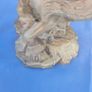 2x signed polystone large horses Image 8