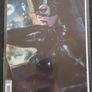 WonderWoman,Harley Quinn,Catwoman,Batgirl,Ghost-spider set comic Image 6