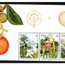 1995 Ireland National Botanic Gardens Commemorative Stamps Booklet Mint Never Hinged (MNH). Hibernian HB52. Image 4
