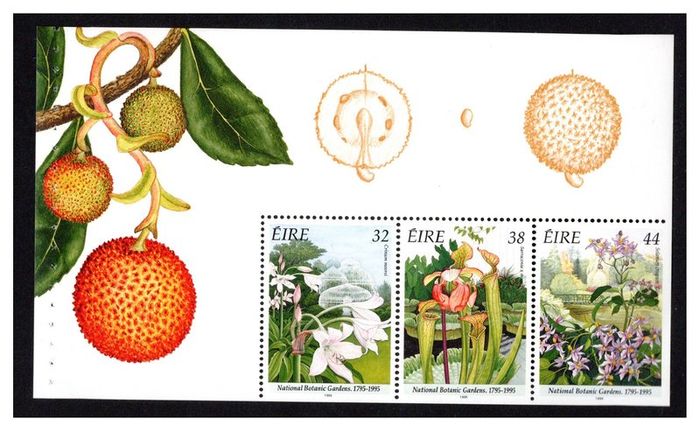1995 Ireland Bicentenary of National Botanic Gardens, Glasnevin Commemorative Stamps Booklet Pane Mint Never Hinged (MNH). Hibernian HP80