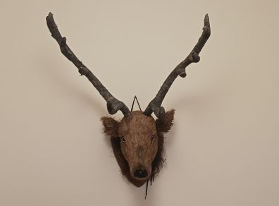 wall mount deer head